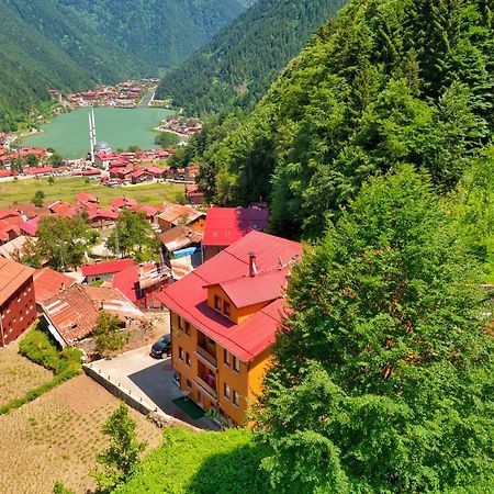 Auga Apart Uzungöl Esterno foto