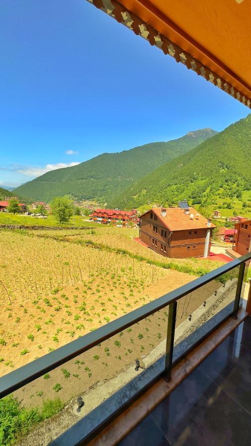 Auga Apart Uzungöl Esterno foto