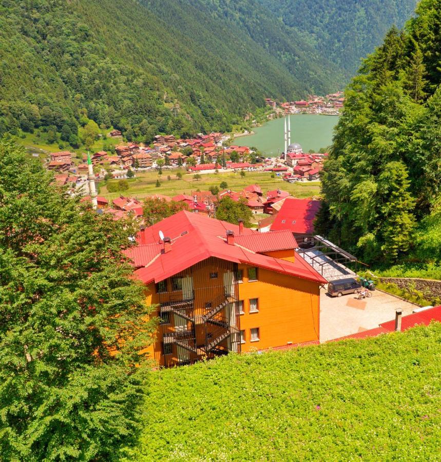 Auga Apart Uzungöl Esterno foto
